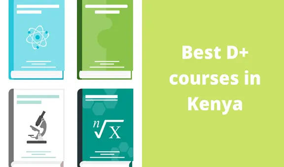 You are currently viewing 8 Best D+ (plus) courses in Kenya