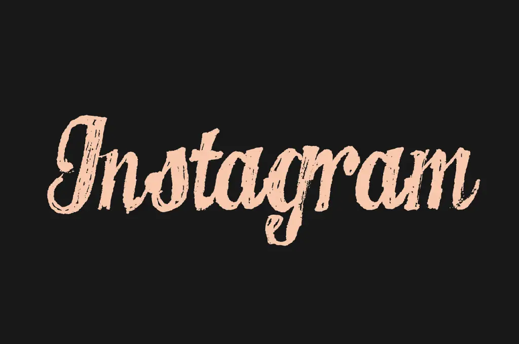 Read more about the article Who is the owner of Instagram today (2022)